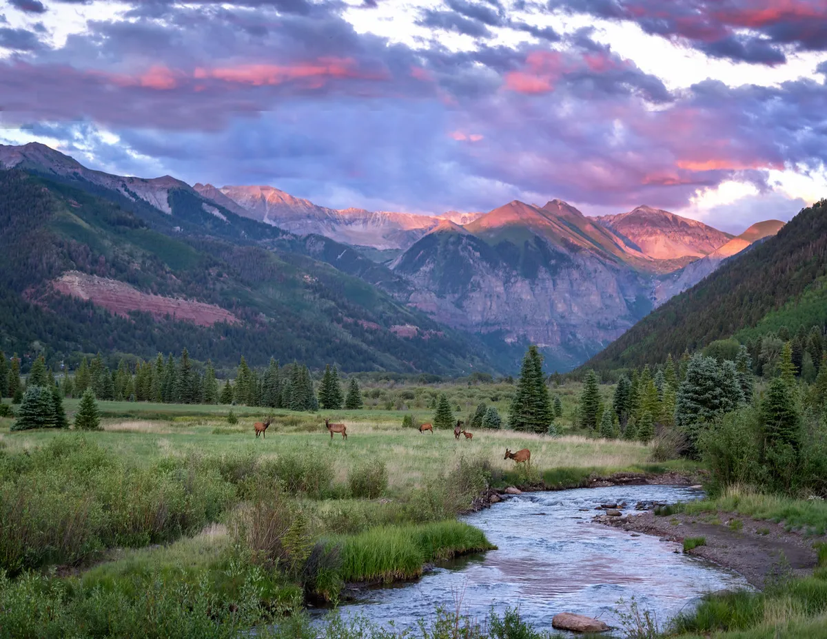 A tranquil mountain stream winds through lush terrain, with snow-capped peaks, wildlife, and a serene sky completing the picture. The scene evokes peaceful exploration amid Telluride’s natural beauty, ideal for hiking and riverside walks in all seasons.